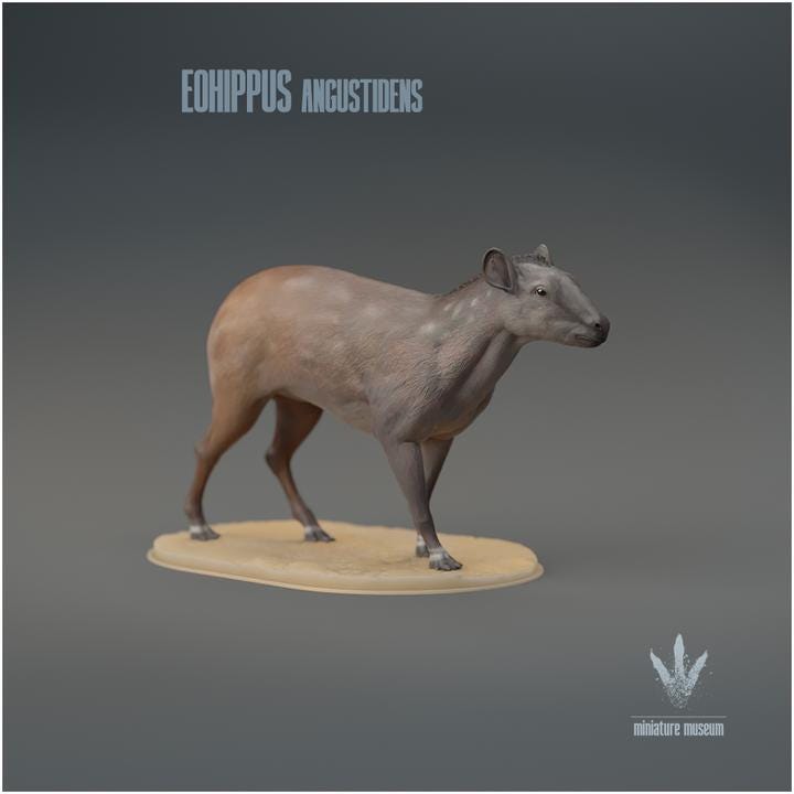 Eohippus angustidens : The Dawn Horse - UNPAINTED 3D Figurine - Miniature Museum