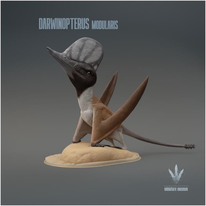 Darwinopterus modularis : Darwin's wing - UNPAINTED 3D Figurine - Miniature Museum