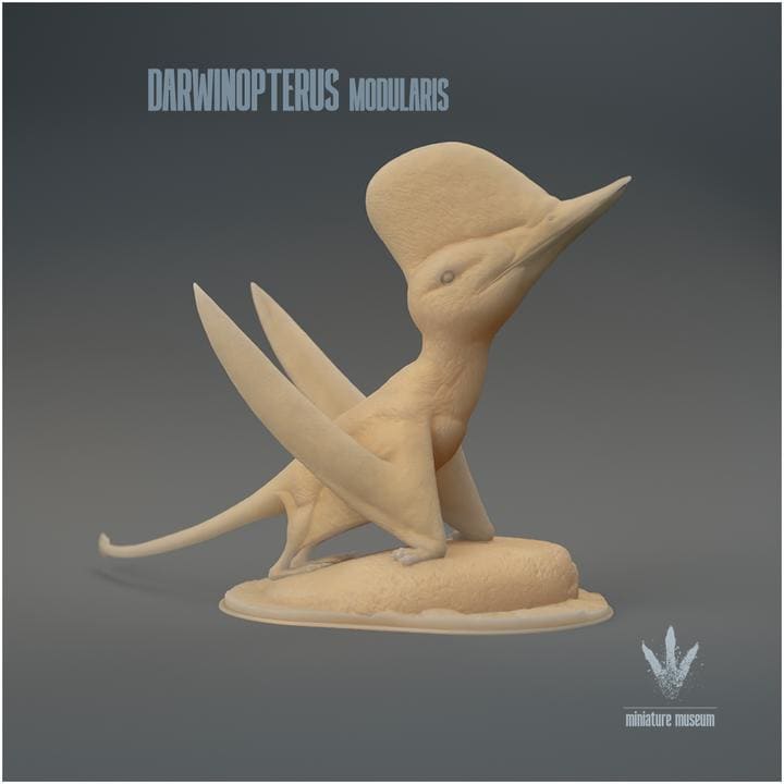 Darwinopterus modularis : Darwin's wing - UNPAINTED 3D Figurine - Miniature Museum