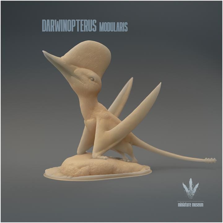 Darwinopterus modularis : Darwin's wing - UNPAINTED 3D Figurine - Miniature Museum
