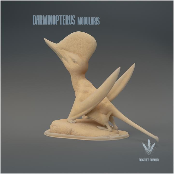 Darwinopterus modularis : Darwin's wing - UNPAINTED 3D Figurine - Miniature Museum