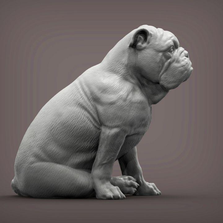 English Bulldog - UNPAINTED - Alexander3dart