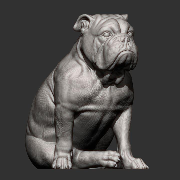 English Bulldog - UNPAINTED - Alexander3dart