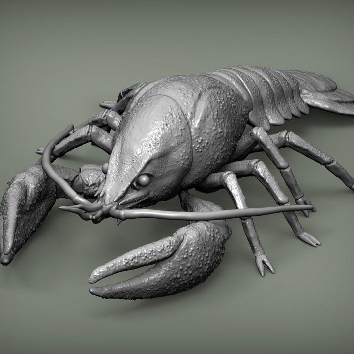 Crayfish - UNPAINTED - Alexander3dart