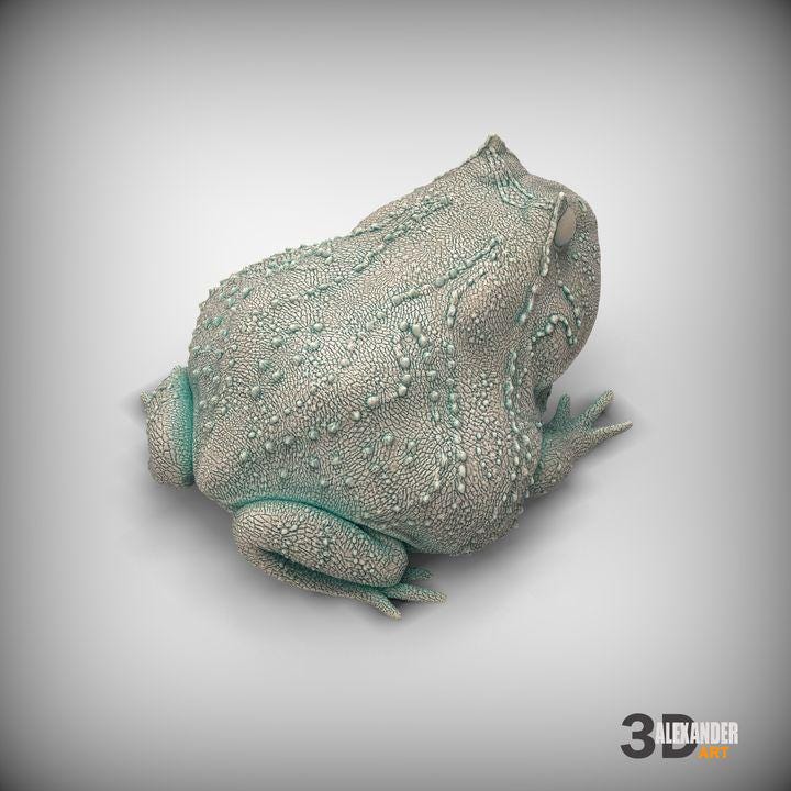 Slingshot frog - UNPAINTED - Alexander3dart