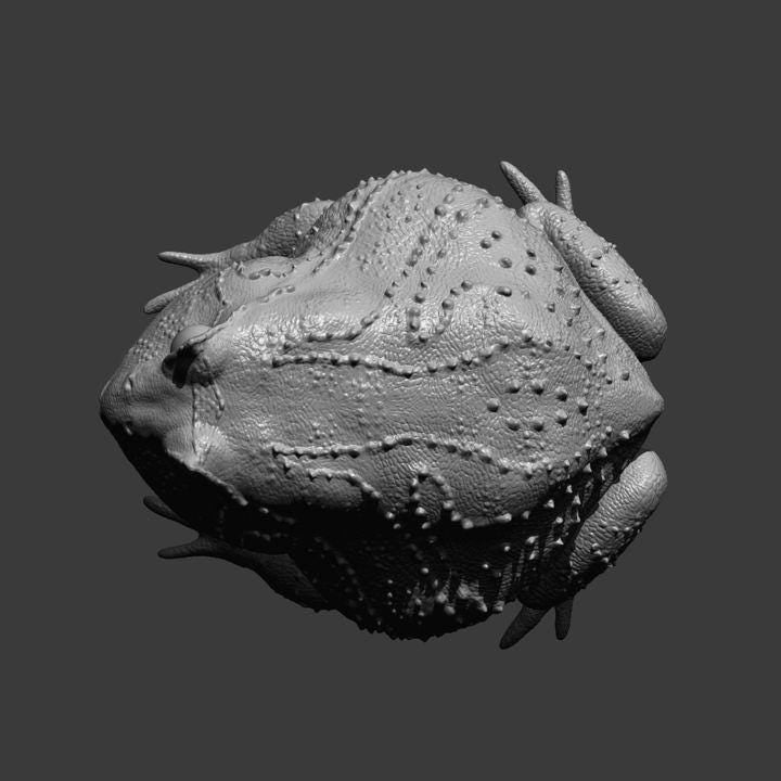 Slingshot frog - UNPAINTED - Alexander3dart