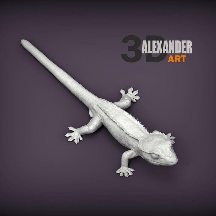 Eyelash banana gecko - UNPAINTED - Alexander3dart