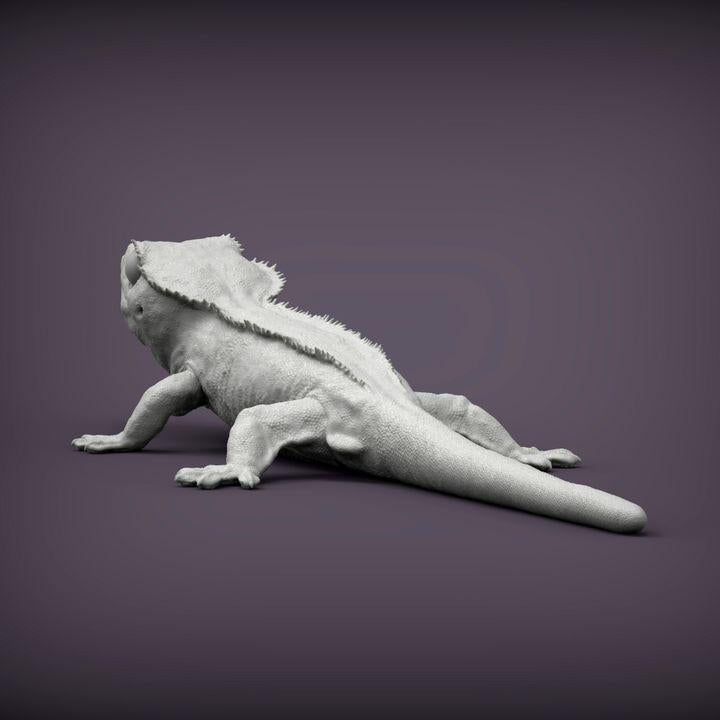 Eyelash banana gecko - UNPAINTED - Alexander3dart