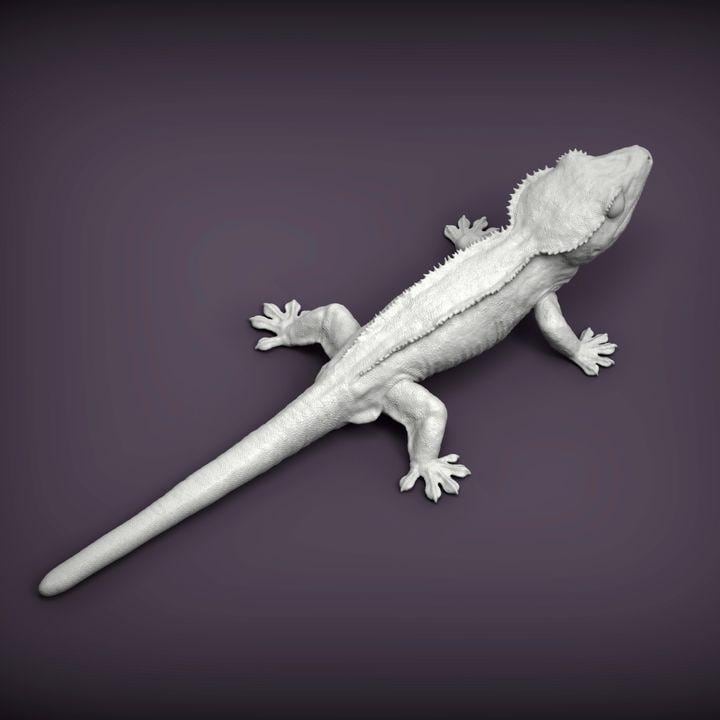 Eyelash banana gecko - UNPAINTED - Alexander3dart