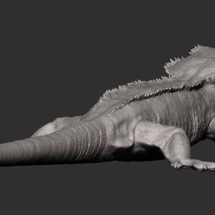 Eyelash banana gecko - UNPAINTED - Alexander3dart