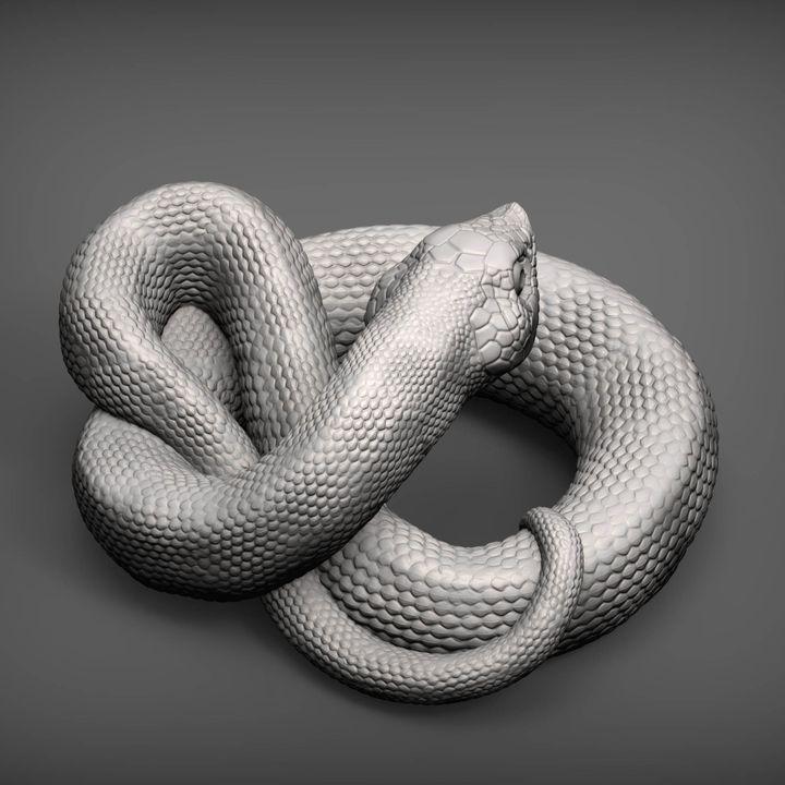 Hognose Snake - UNPAINTED - Alexander3dart