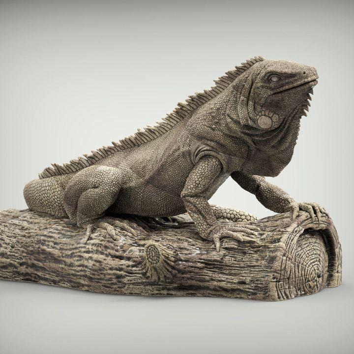 Iguana on log - UNPAINTED - Alexander3dart
