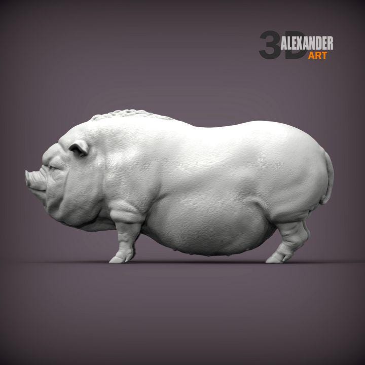 Vietnamese pig - UNPAINTED - Alexander3dart