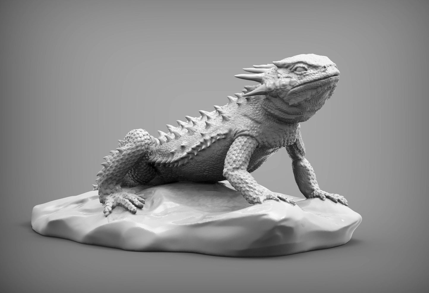 Flat-horned toad lizard - UNPAINTED - Alexander3dart