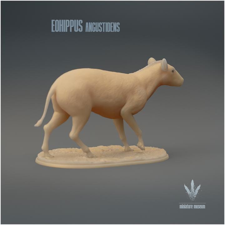 Eohippus angustidens Walking - UNPAINTED 3D Figurine - Miniature Museum