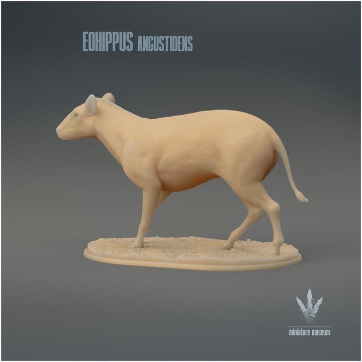 Eohippus angustidens Walking - UNPAINTED 3D Figurine - Miniature Museum
