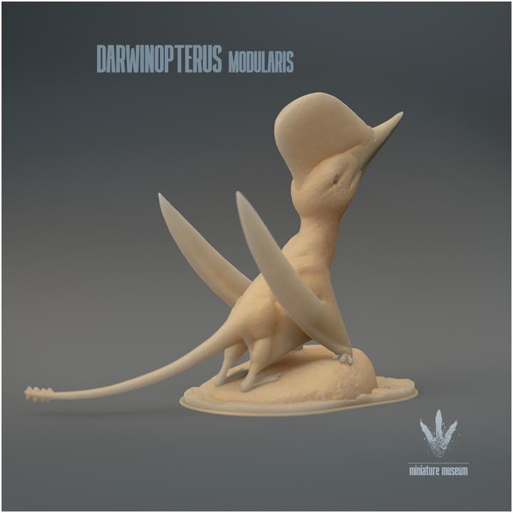 Darwinopterus modularis : Darwin's wing - UNPAINTED 3D Figurine - Miniature Museum