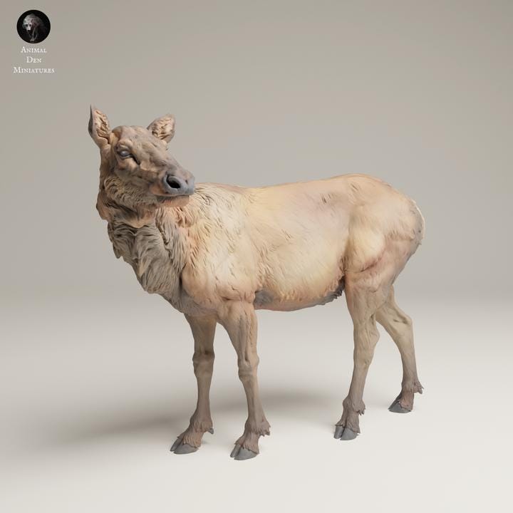 Rocky Mountain Elk Cow - UNPAINTED 3D resin print/figure - Animal Den Miniatures