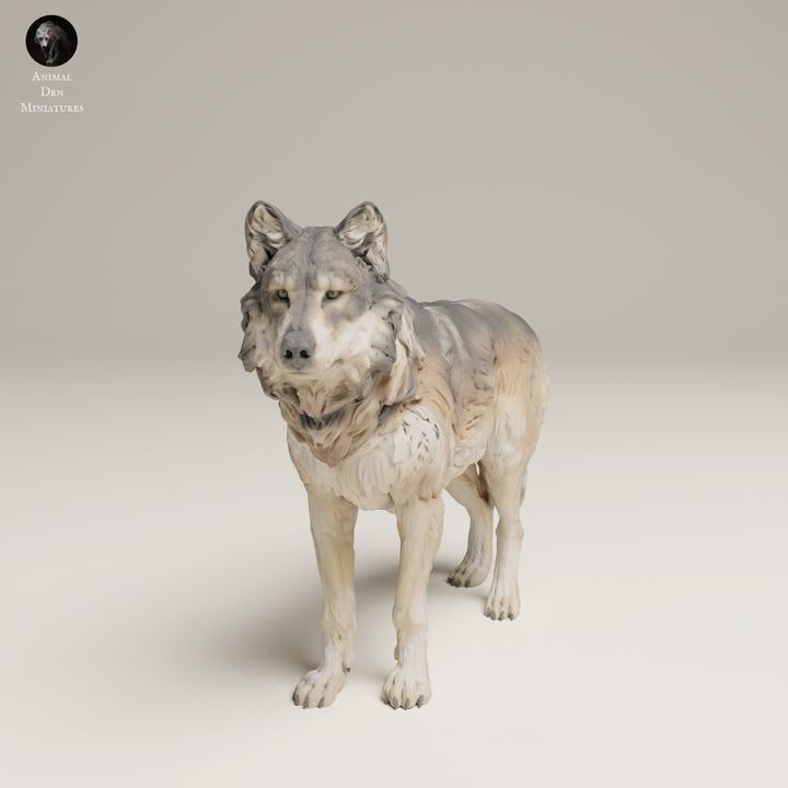 Grey Wolf - UNPAINTED 3D resin print/figure - Animal Den Miniatures