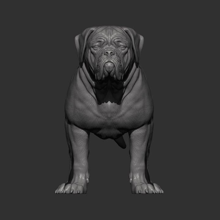 Dogues de Bordeaux - UNPAINTED 3D Figure - Alexander3dart