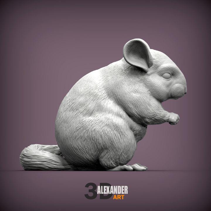 Chinchilla - UNPAINTED 3D figure - Alexander3dart