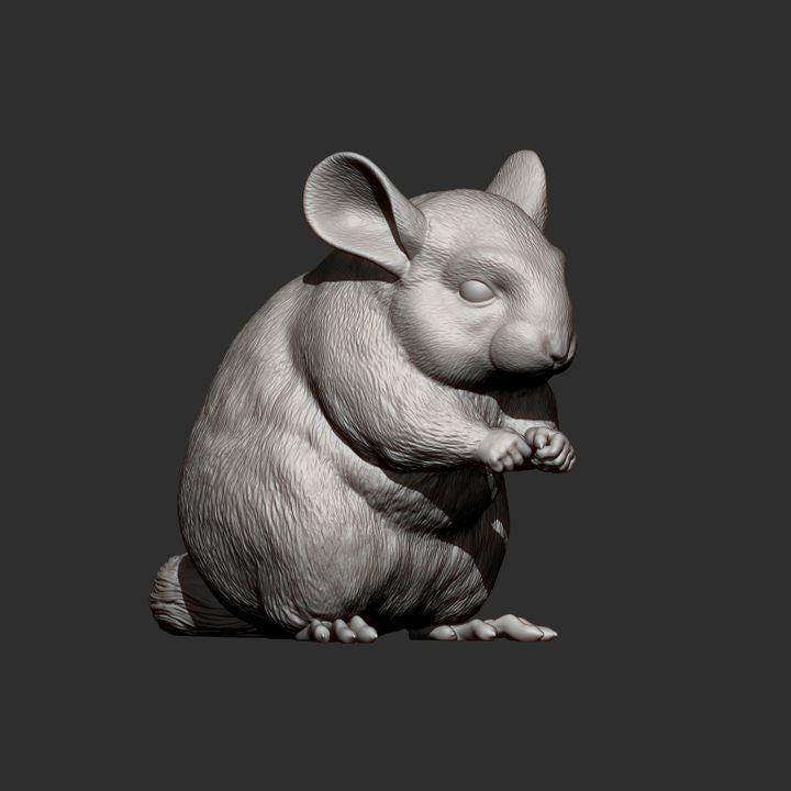 Chinchilla - UNPAINTED 3D figure - Alexander3dart