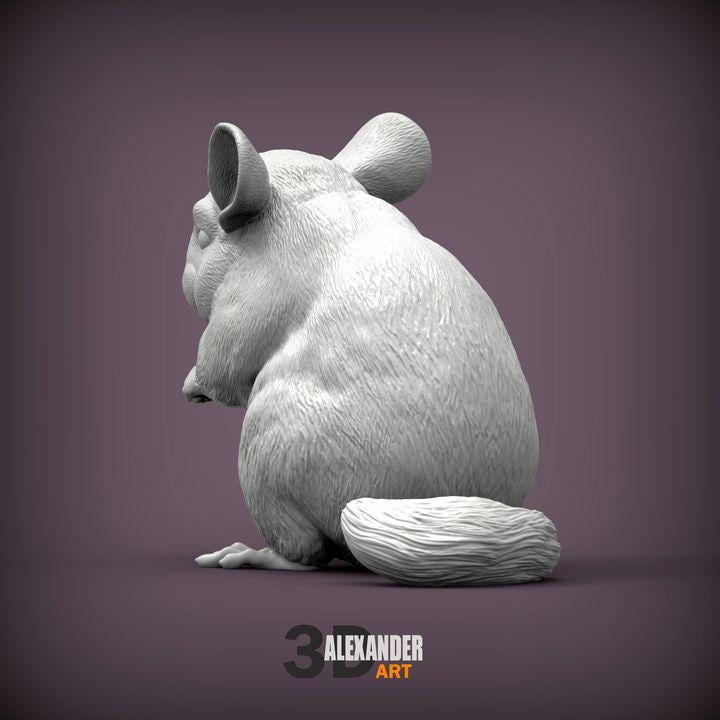 Chinchilla - UNPAINTED 3D figure - Alexander3dart