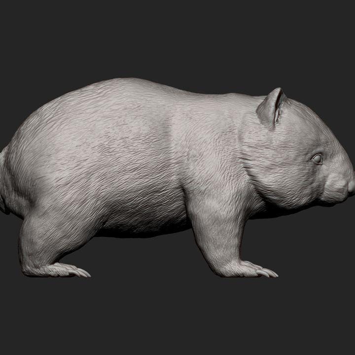 Wombat - UNPAINTED 3D Figure - Alexander3dart