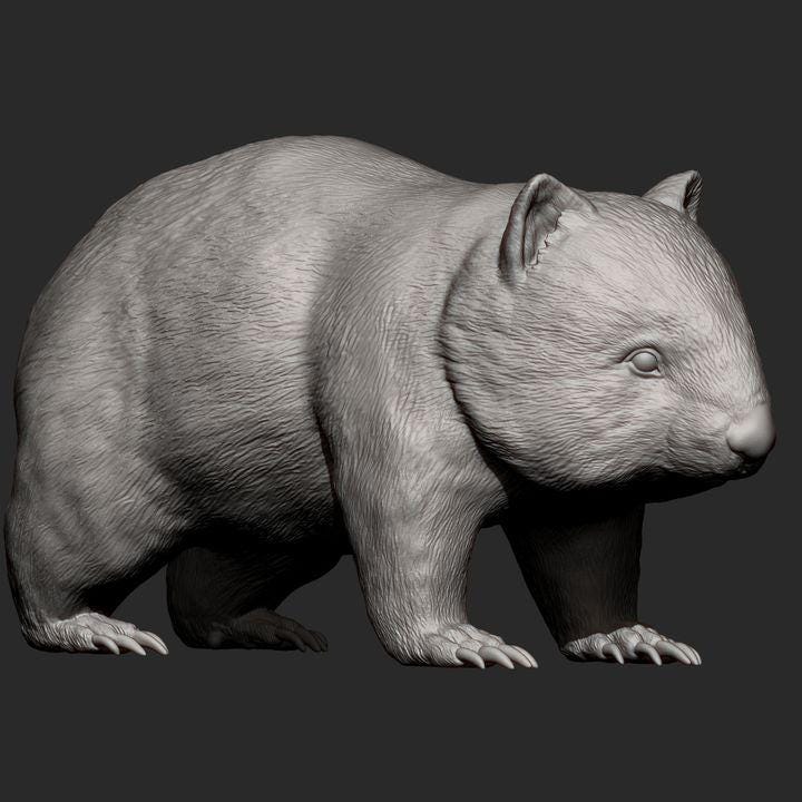 Wombat - UNPAINTED 3D Figure - Alexander3dart
