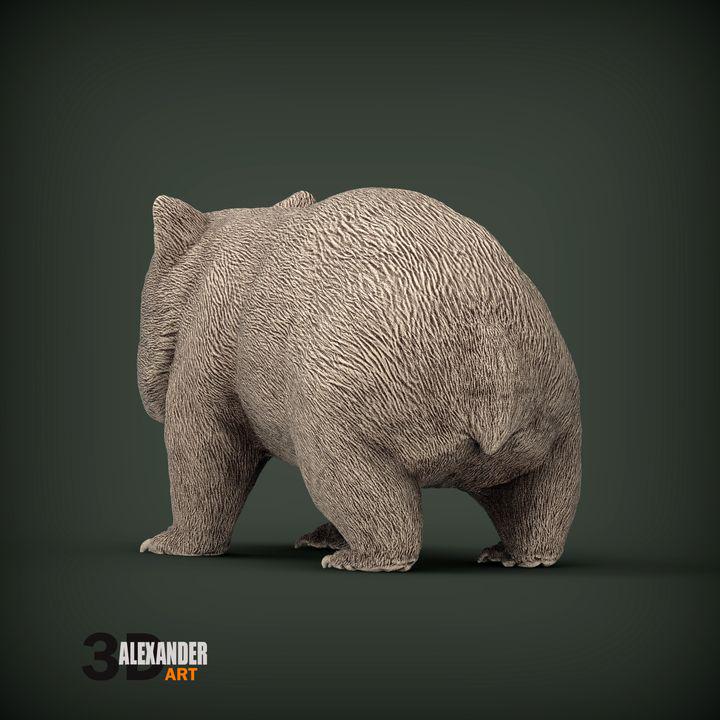 Wombat - UNPAINTED 3D Figure - Alexander3dart