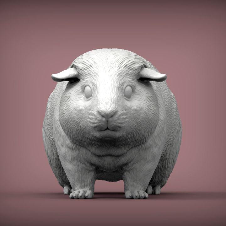 Teddy Guinea Pig - UNPAINTED 3D Figure - Alexander3dart