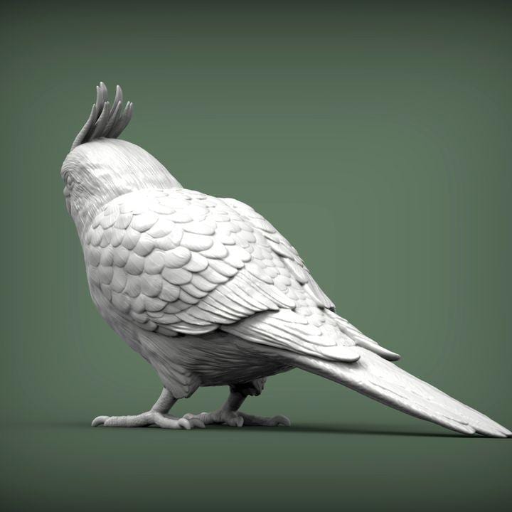 KaiCockatiel - UNPAINTED 3D Figure - Alexander3dart