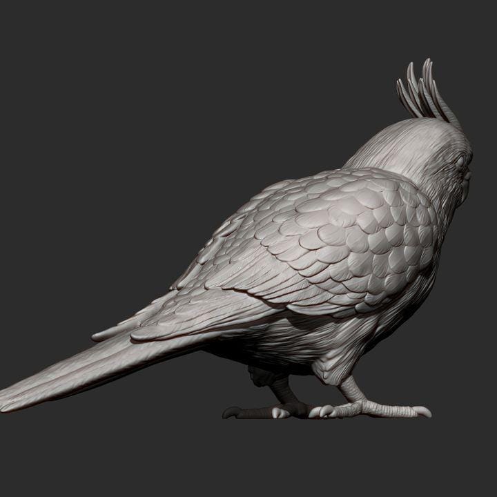 KaiCockatiel - UNPAINTED 3D Figure - Alexander3dart