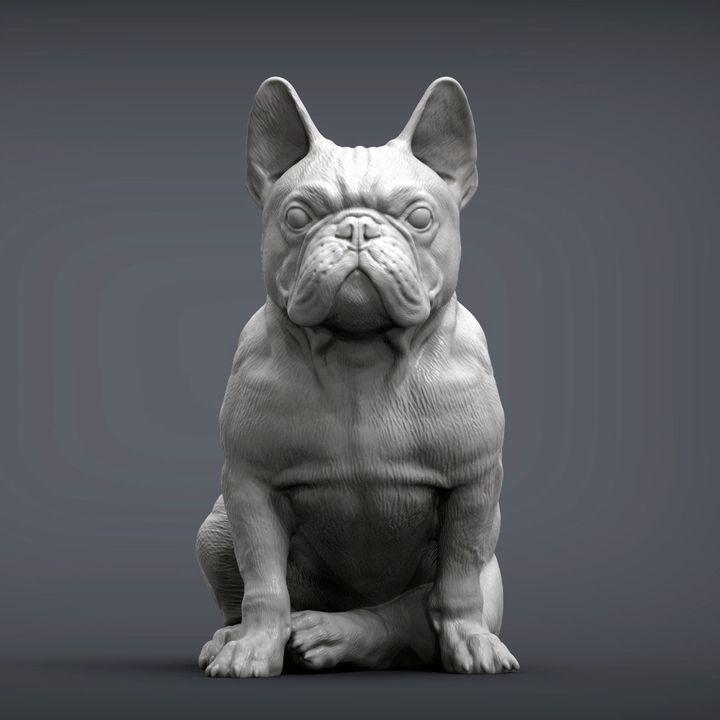 French Bulldog - UNPAINTED 3D figure - Alexander3dart