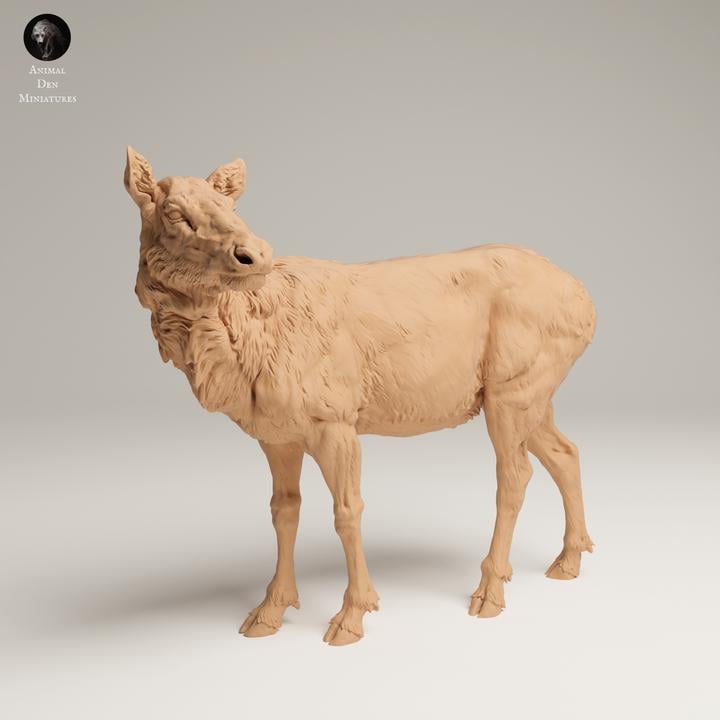 Rocky Mountain Elk Cow - UNPAINTED 3D resin print/figure - Animal Den Miniatures