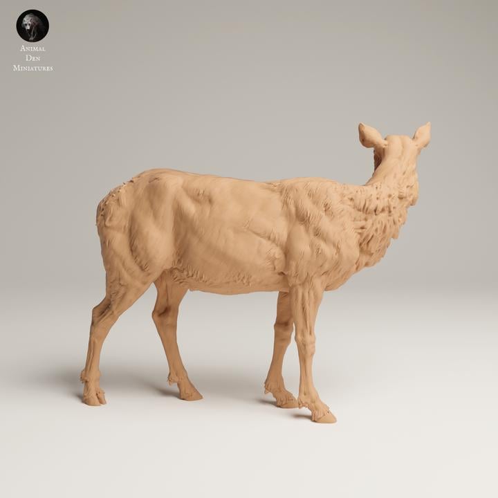Rocky Mountain Elk Cow - UNPAINTED 3D resin print/figure - Animal Den Miniatures