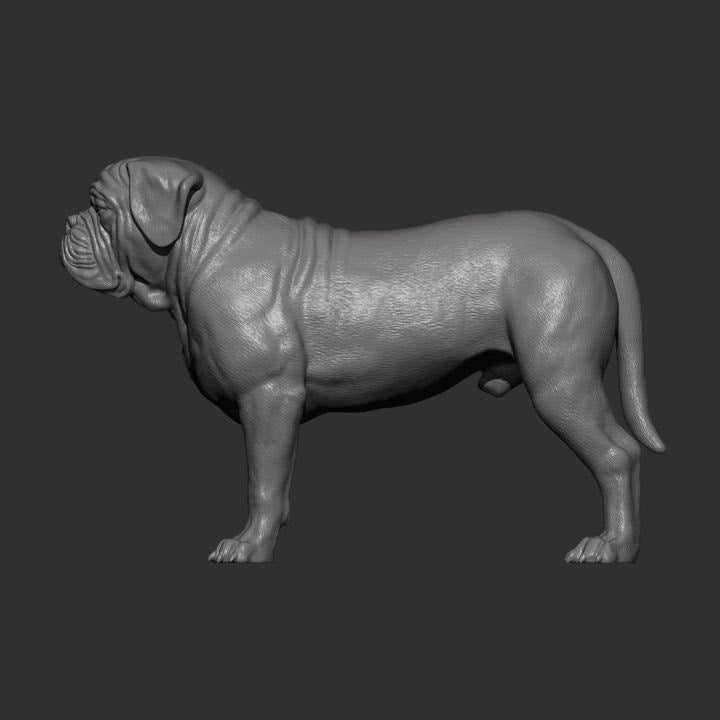 Dogues de Bordeaux - UNPAINTED 3D Figure - Alexander3dart