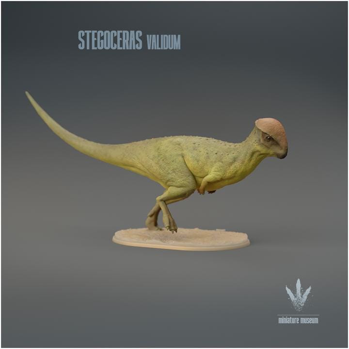 Stegoceras validum : Run - UNPAINTED 3D Figurine - Miniature Museum