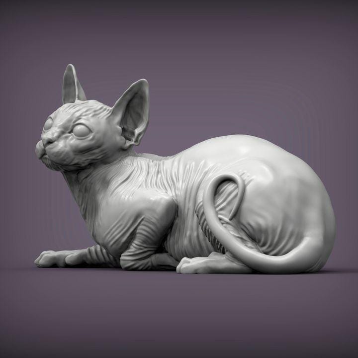 Sphynx cat - UNPAINTED 3D Figure - Alexander3dart