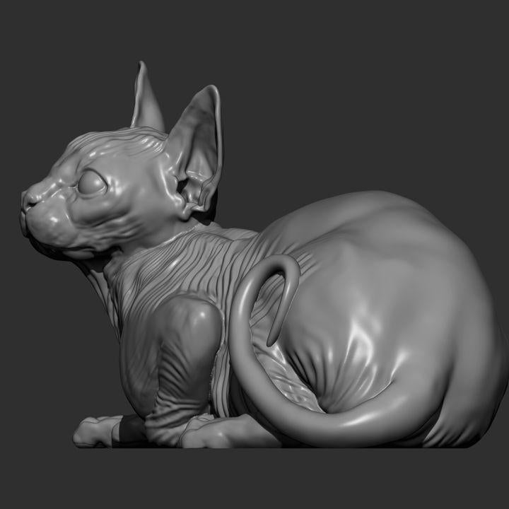 Sphynx cat - UNPAINTED 3D Figure - Alexander3dart