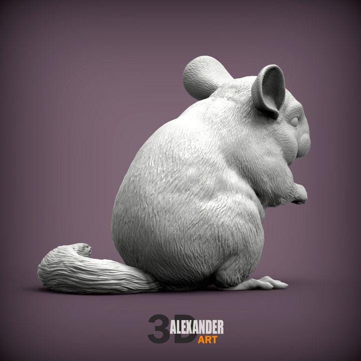 Chinchilla - UNPAINTED 3D figure - Alexander3dart