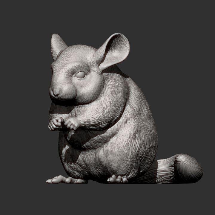 Chinchilla - UNPAINTED 3D figure - Alexander3dart
