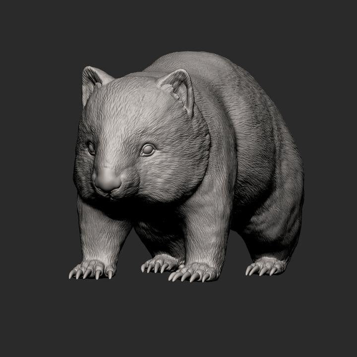 Wombat - UNPAINTED 3D Figure - Alexander3dart