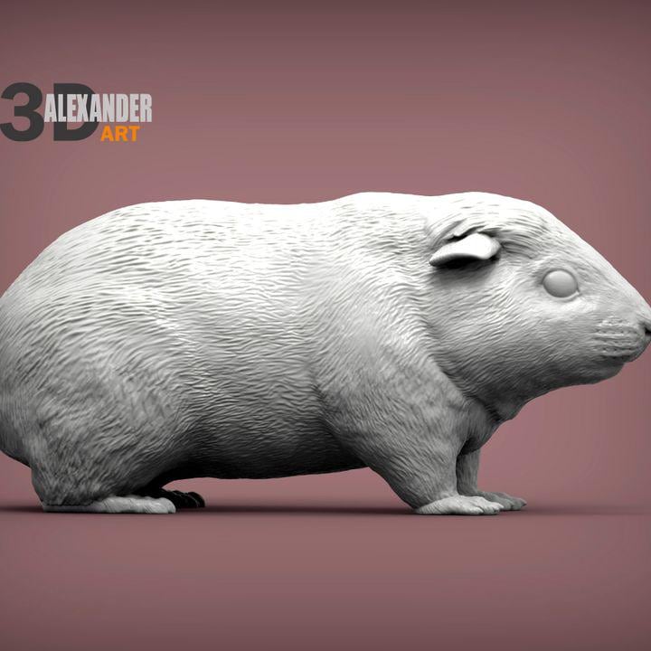 Teddy Guinea Pig - UNPAINTED 3D Figure - Alexander3dart