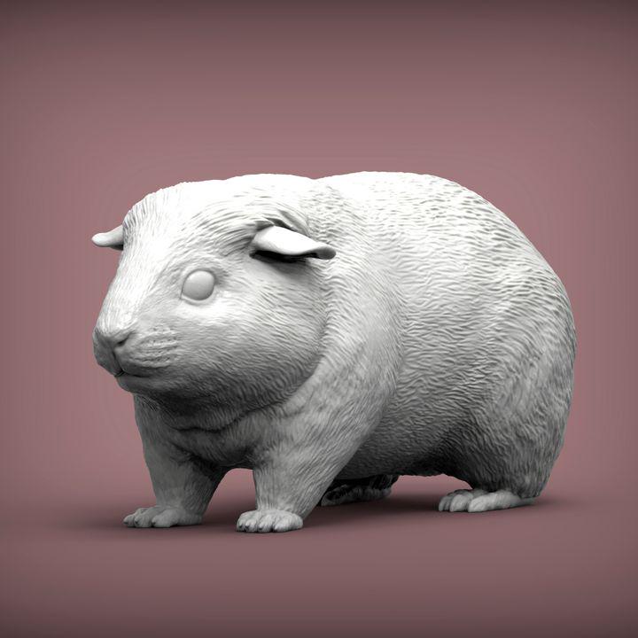 Teddy Guinea Pig - UNPAINTED 3D Figure - Alexander3dart
