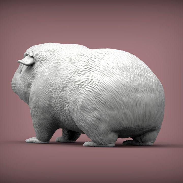 Teddy Guinea Pig - UNPAINTED 3D Figure - Alexander3dart