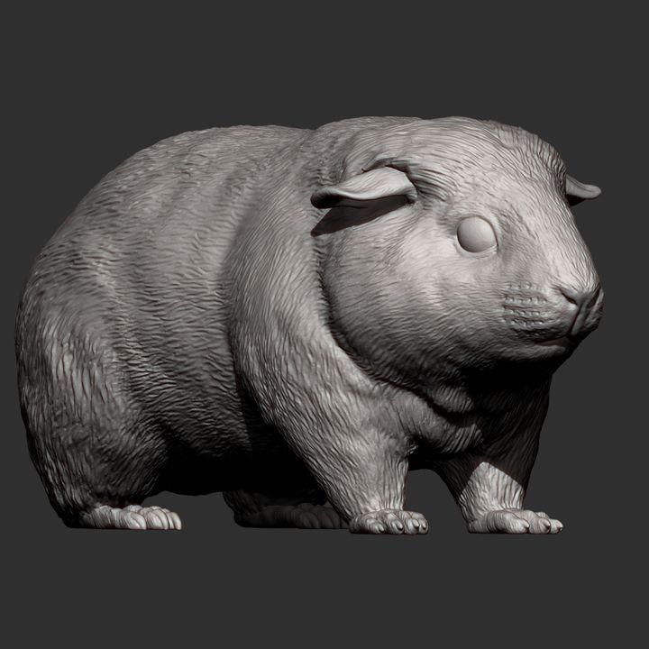 Teddy Guinea Pig - UNPAINTED 3D Figure - Alexander3dart