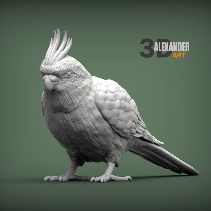 KaiCockatiel - UNPAINTED 3D Figure - Alexander3dart