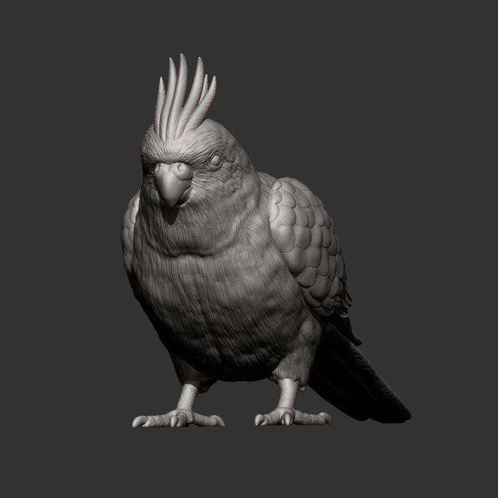 KaiCockatiel - UNPAINTED 3D Figure - Alexander3dart