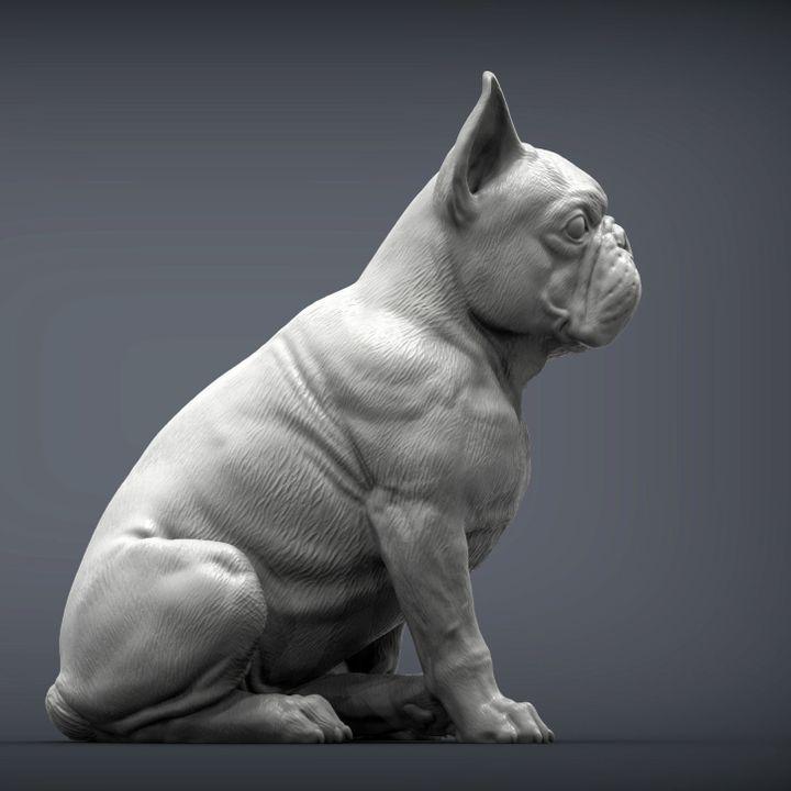 French Bulldog - UNPAINTED 3D figure - Alexander3dart